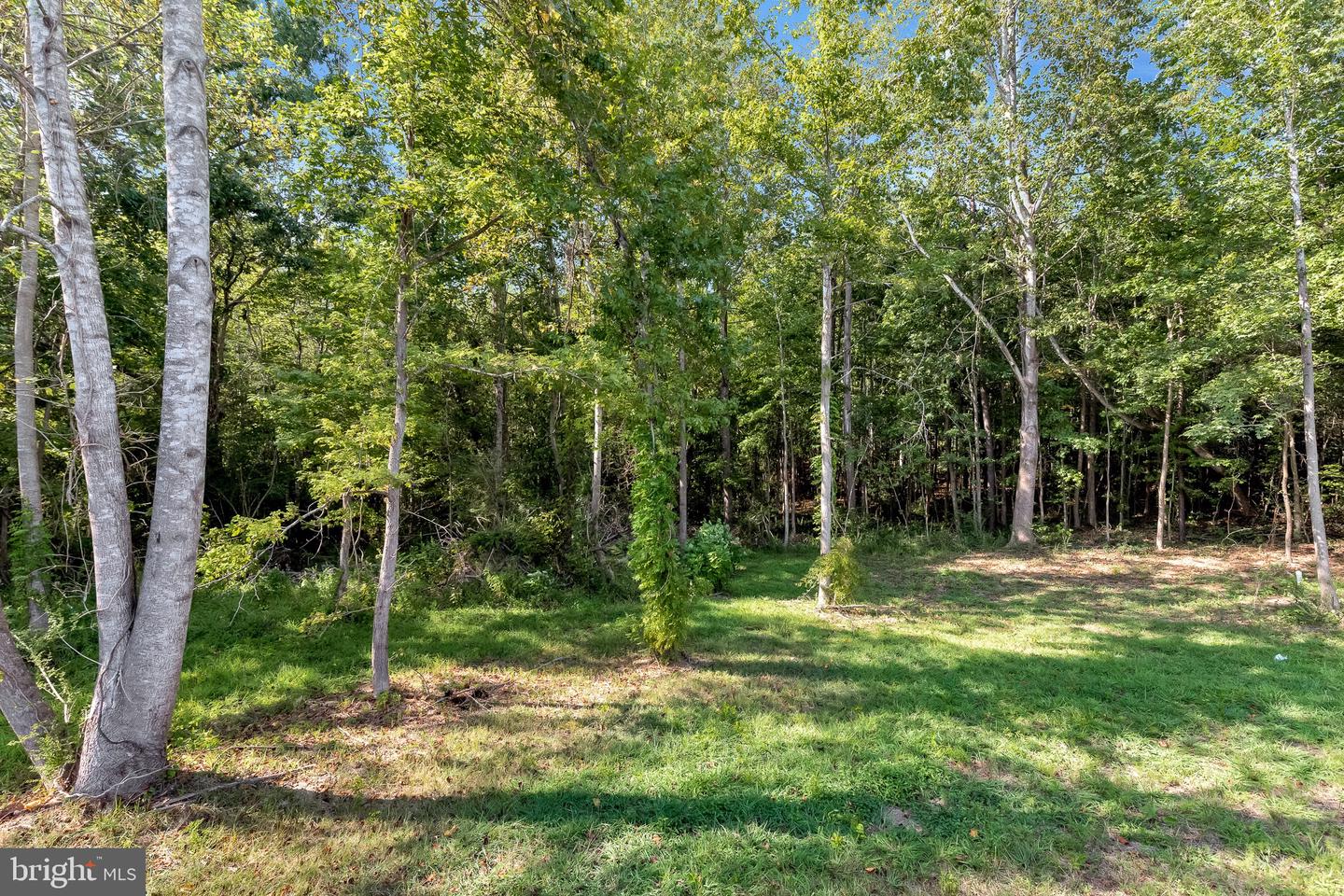 931 LIGHT ST, HEATHSVILLE, Virginia 22473, 3 Bedrooms Bedrooms, ,2 BathroomsBathrooms,Residential,For sale,931 LIGHT ST,VANV2001772 MLS # VANV2001772