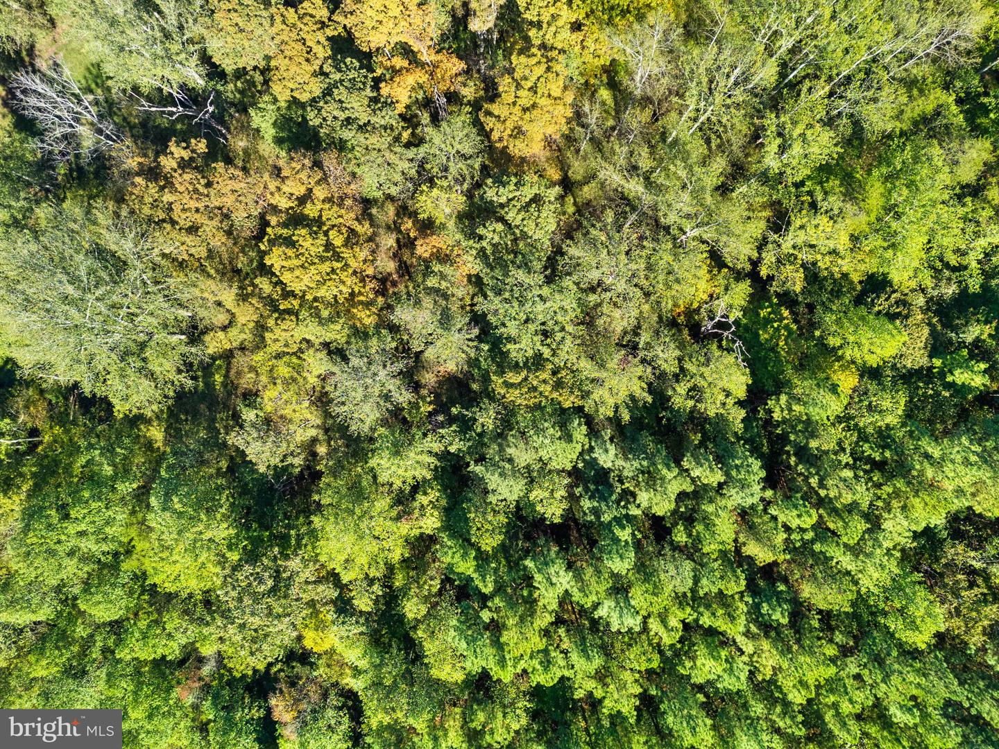 OLINGER RD, MARSHALL, Virginia 20115, ,Land,For sale,OLINGER RD,VAFQ2018528 MLS # VAFQ2018528