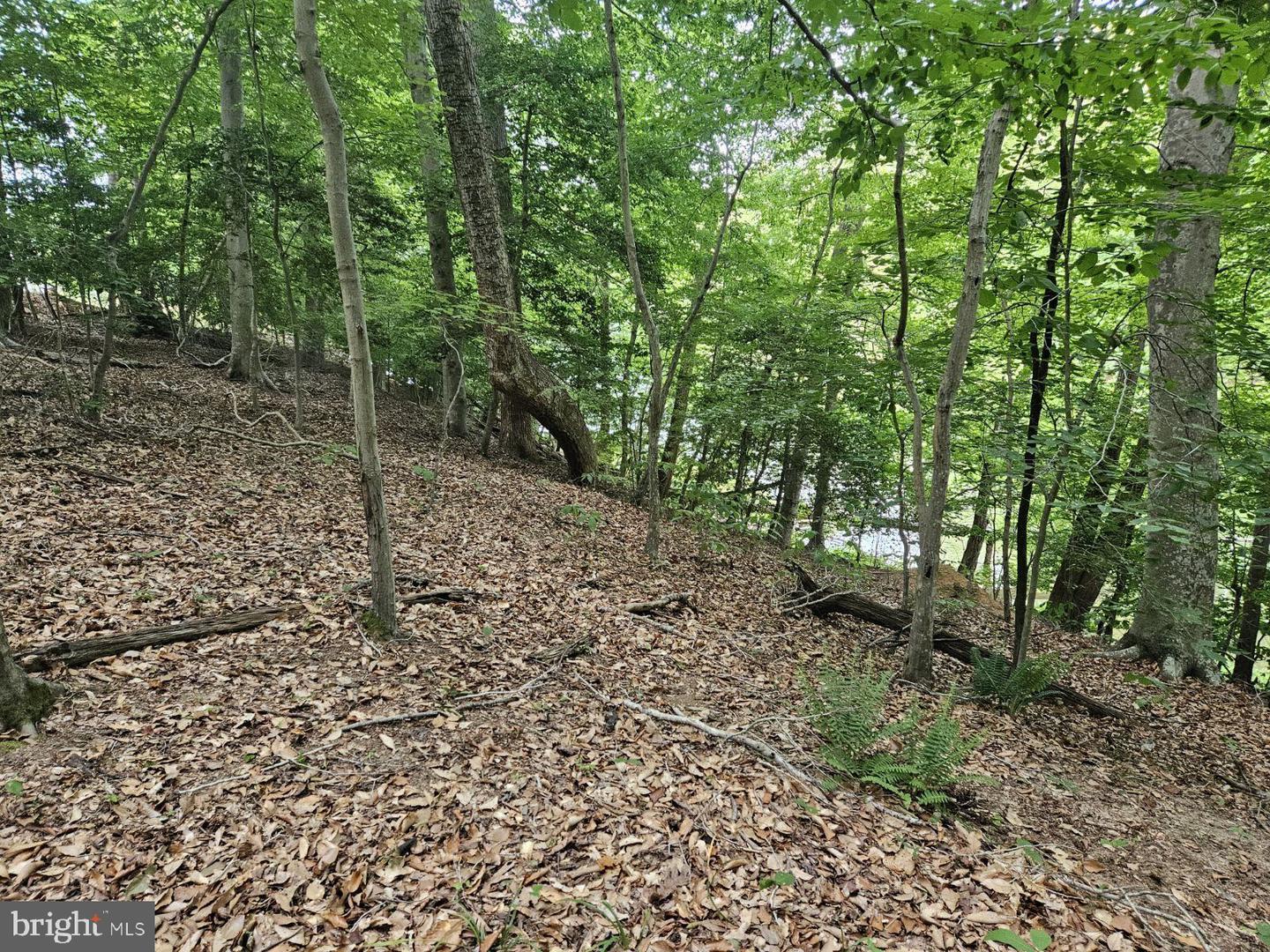 LOT 50 LIGHTFOOT DRIVE, MONTROSS, Virginia 22520, ,Land,For sale,LOT 50 LIGHTFOOT DRIVE,VAWE2009918 MLS # VAWE2009918