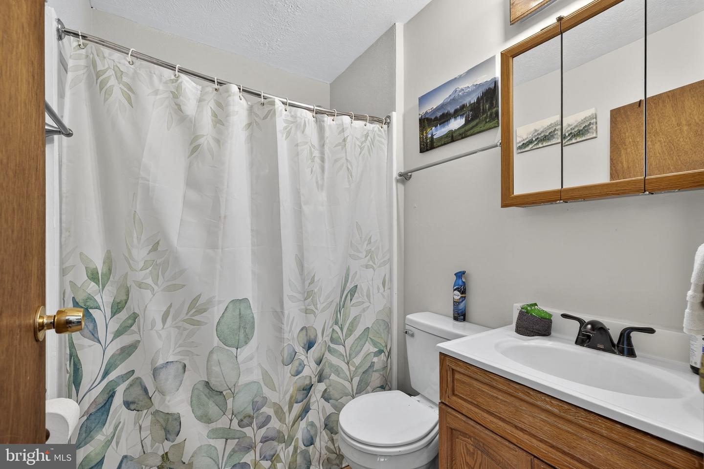 218 MULBERRY LN, MOUNT JACKSON, Virginia 22842, 2 Bedrooms Bedrooms, ,1 BathroomBathrooms,Residential,For sale,218 MULBERRY LN,VASH2012700 MLS # VASH2012700