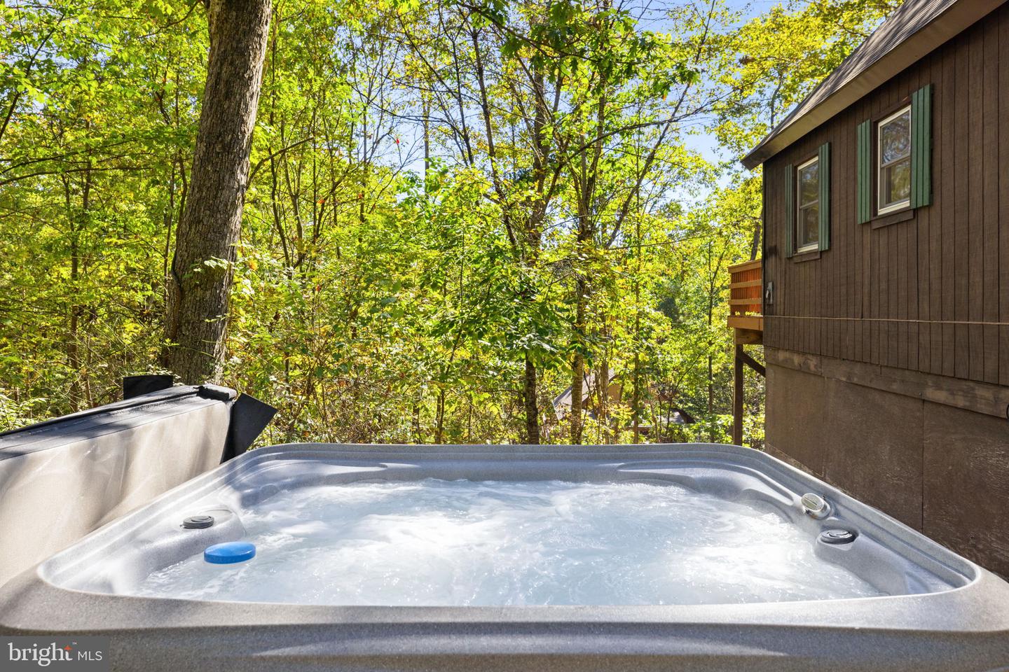 218 MULBERRY LN, MOUNT JACKSON, Virginia 22842, 2 Bedrooms Bedrooms, ,1 BathroomBathrooms,Residential,For sale,218 MULBERRY LN,VASH2012700 MLS # VASH2012700