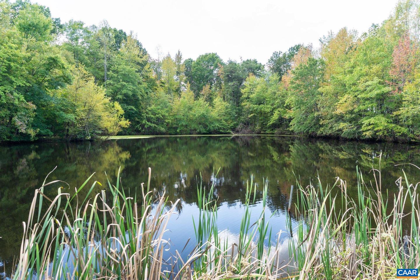 884 PLEASANT GAP DR, DRY FORK, Virginia 24549, 3 Bedrooms Bedrooms, ,3 BathroomsBathrooms,Residential,For sale,884 PLEASANT GAP DR,669832 MLS # 669832