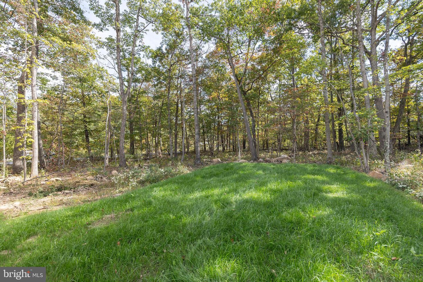 319 MOUNTAIN FALLS BLVD, WINCHESTER, Virginia 22602, 2 Bedrooms Bedrooms, ,1 BathroomBathrooms,Residential,For sale,319 MOUNTAIN FALLS BLVD,VAFV2034020 MLS # VAFV2034020