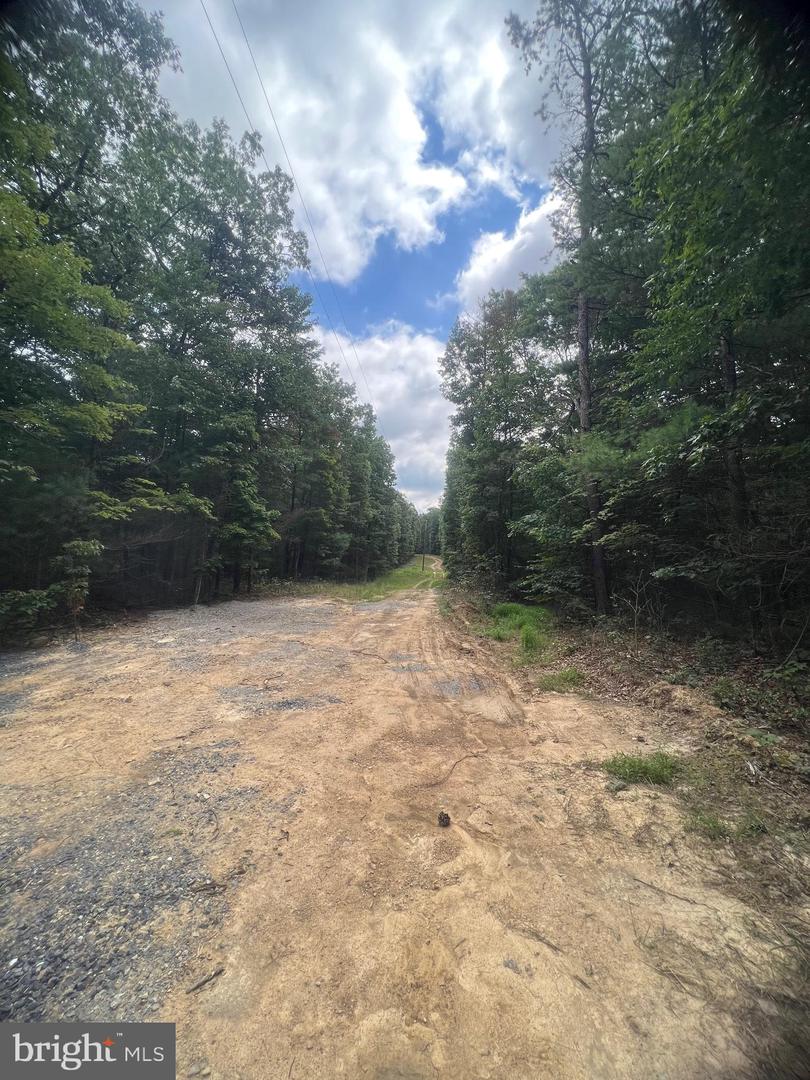 SUPINLICK RIDGE RD, MOUNT JACKSON, Virginia 22842, ,Land,For sale,SUPINLICK RIDGE RD,VASH2012594 MLS # VASH2012594