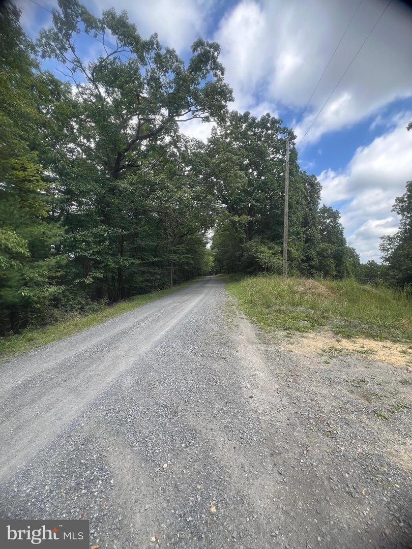 SUPINLICK RIDGE RD, MOUNT JACKSON, Virginia 22842, ,Land,For sale,SUPINLICK RIDGE RD,VASH2012594 MLS # VASH2012594
