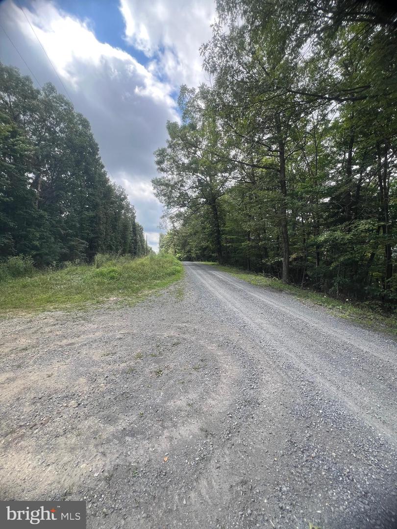 SUPINLICK RIDGE RD, MOUNT JACKSON, Virginia 22842, ,Land,For sale,SUPINLICK RIDGE RD,VASH2012594 MLS # VASH2012594