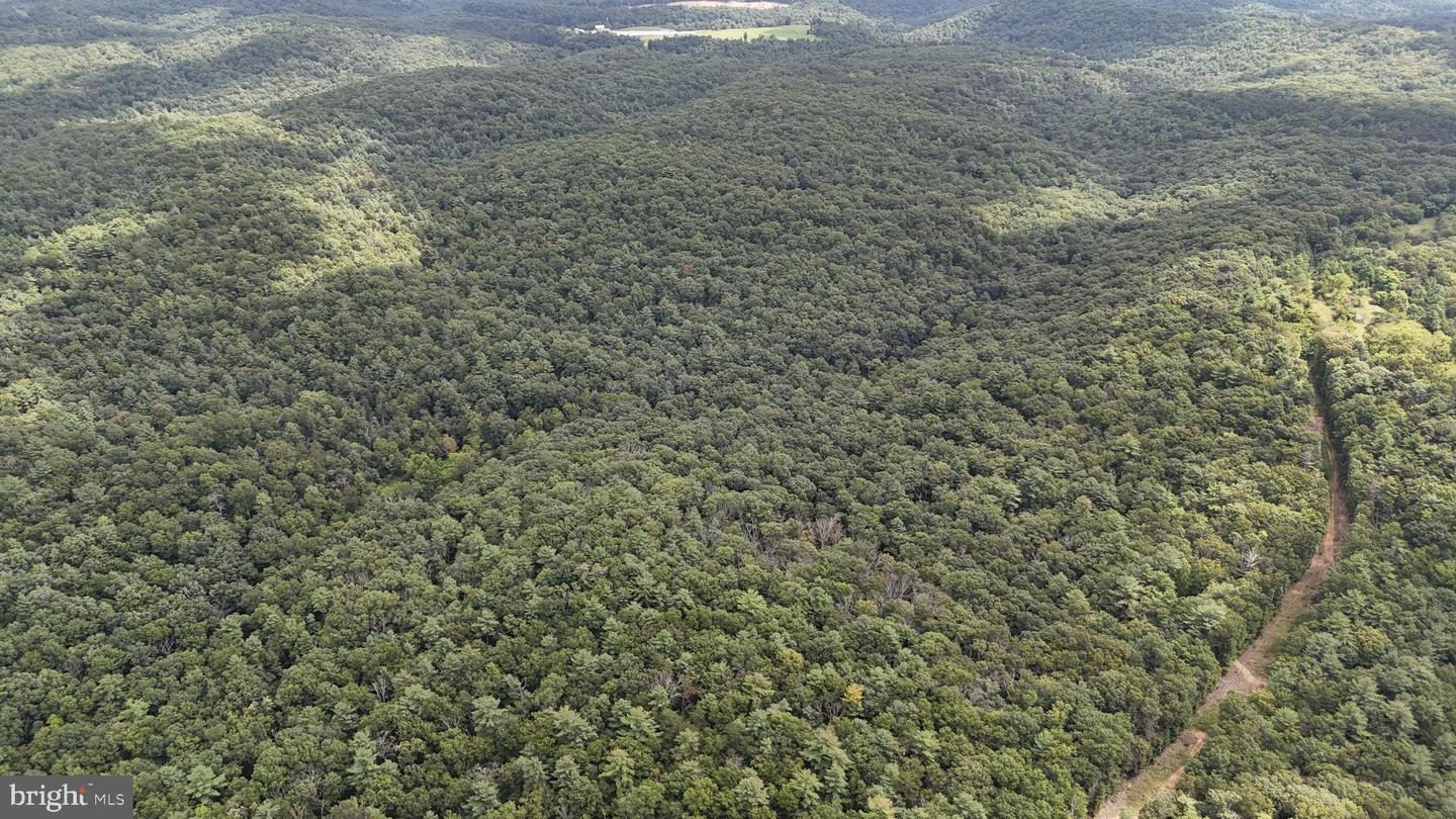 SUPINLICK RIDGE RD, MOUNT JACKSON, Virginia 22842, ,Land,For sale,SUPINLICK RIDGE RD,VASH2012594 MLS # VASH2012594