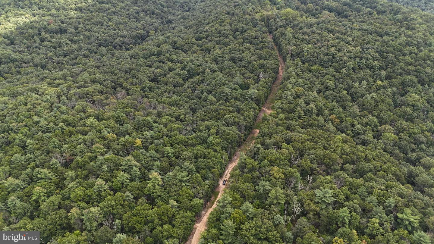 SUPINLICK RIDGE RD, MOUNT JACKSON, Virginia 22842, ,Land,For sale,SUPINLICK RIDGE RD,VASH2012594 MLS # VASH2012594