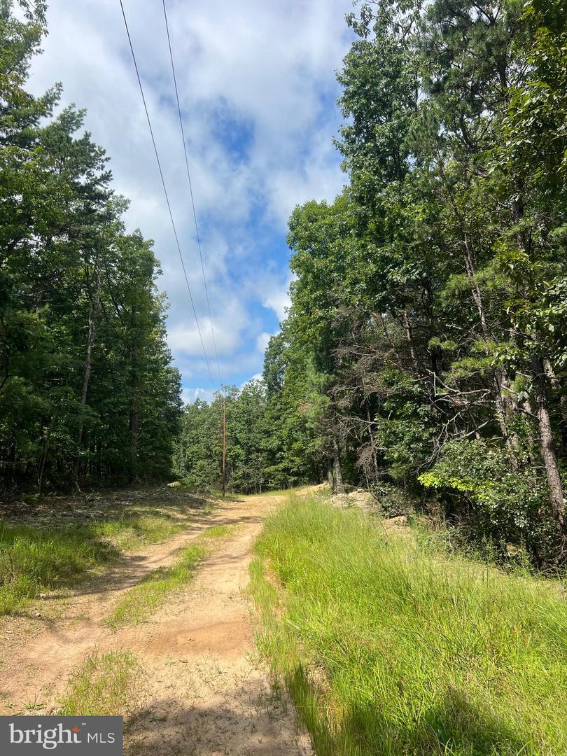SUPINLICK RIDGE RD, MOUNT JACKSON, Virginia 22842, ,Land,For sale,SUPINLICK RIDGE RD,VASH2012594 MLS # VASH2012594