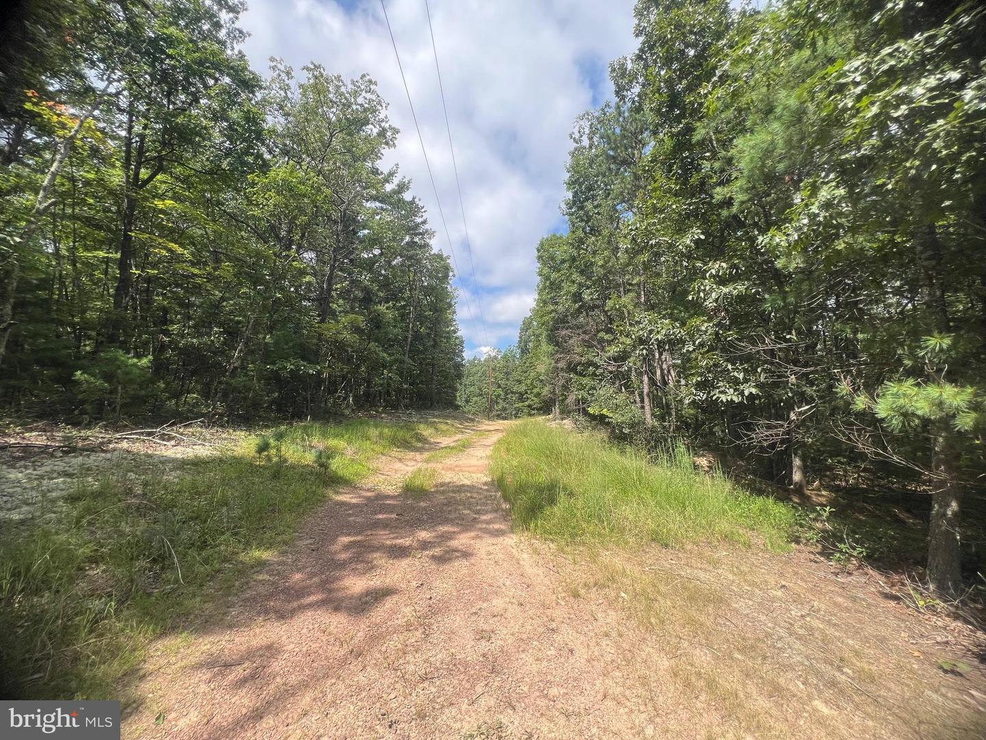 SUPINLICK RIDGE RD, MOUNT JACKSON, Virginia 22842, ,Land,For sale,SUPINLICK RIDGE RD,VASH2012594 MLS # VASH2012594