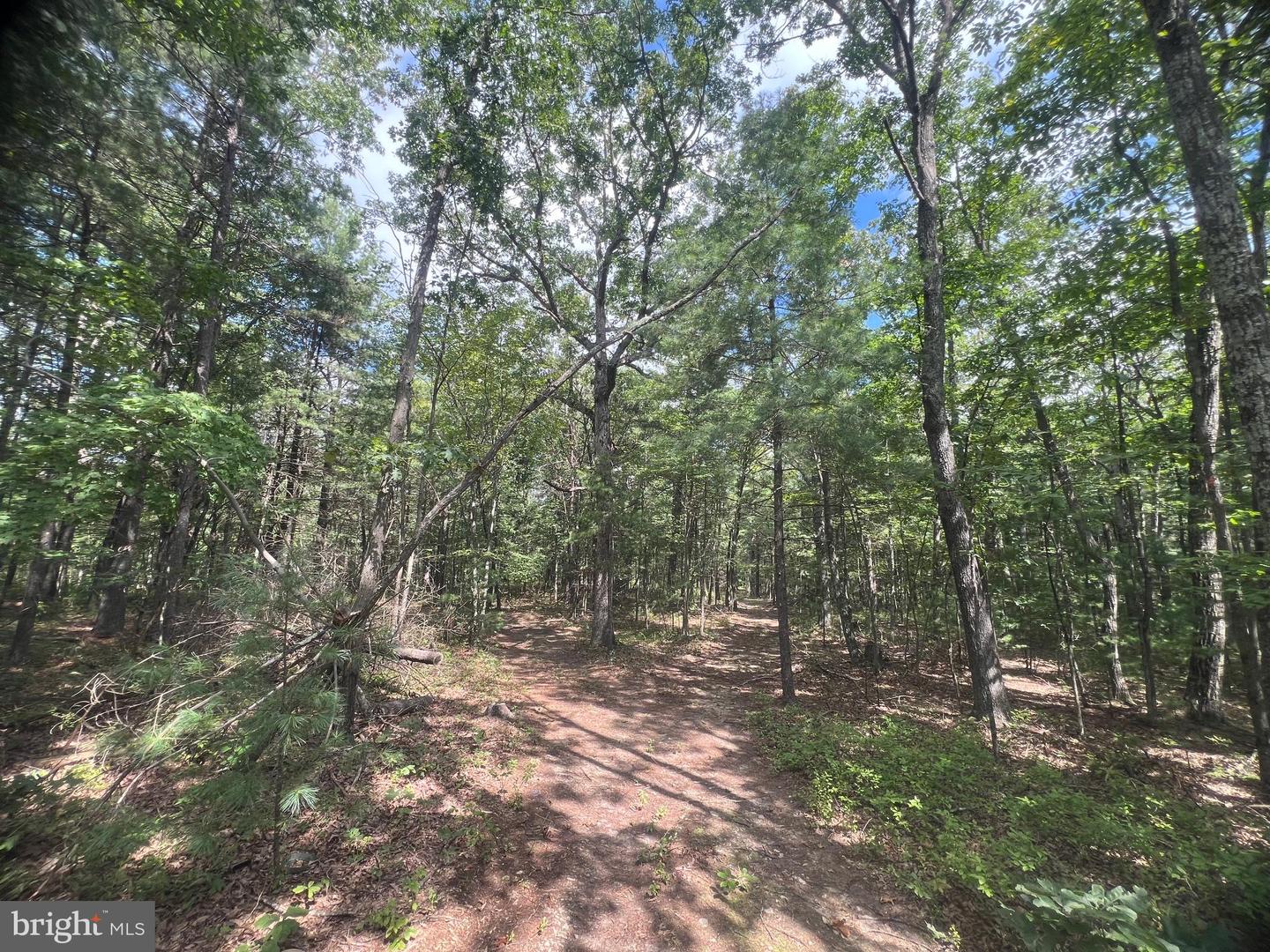 SUPINLICK RIDGE RD, MOUNT JACKSON, Virginia 22842, ,Land,For sale,SUPINLICK RIDGE RD,VASH2012594 MLS # VASH2012594