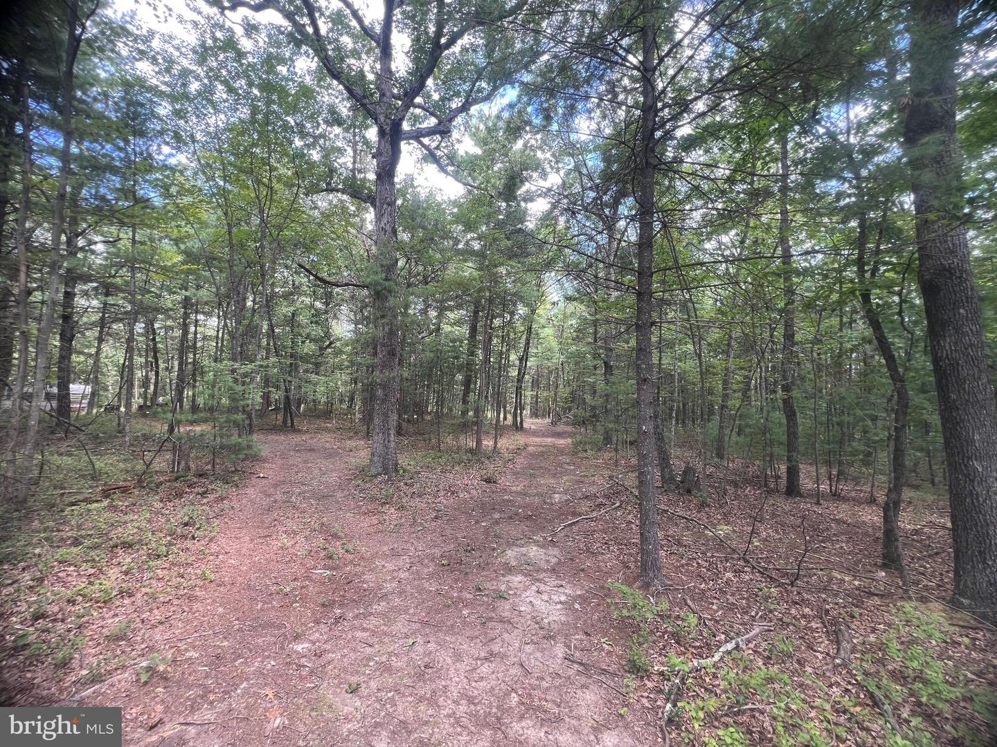 SUPINLICK RIDGE RD, MOUNT JACKSON, Virginia 22842, ,Land,For sale,SUPINLICK RIDGE RD,VASH2012594 MLS # VASH2012594
