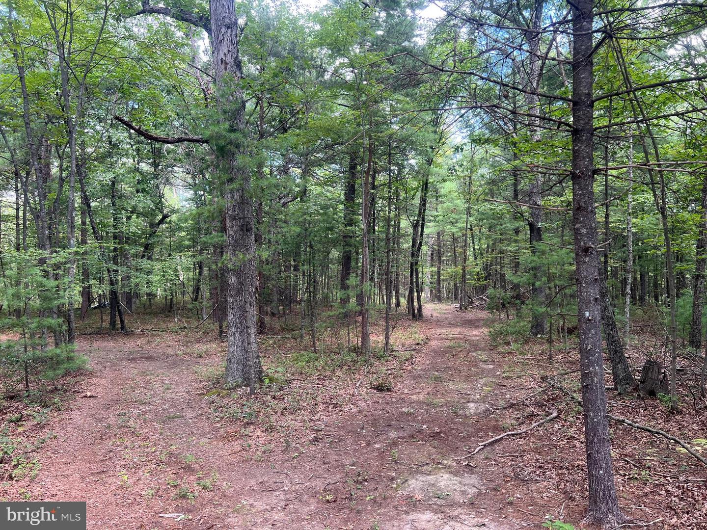 SUPINLICK RIDGE RD, MOUNT JACKSON, Virginia 22842, ,Land,For sale,SUPINLICK RIDGE RD,VASH2012594 MLS # VASH2012594