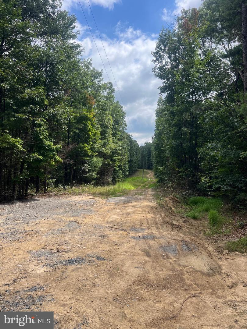 SUPINLICK RIDGE RD, MOUNT JACKSON, Virginia 22842, ,Land,For sale,SUPINLICK RIDGE RD,VASH2012594 MLS # VASH2012594