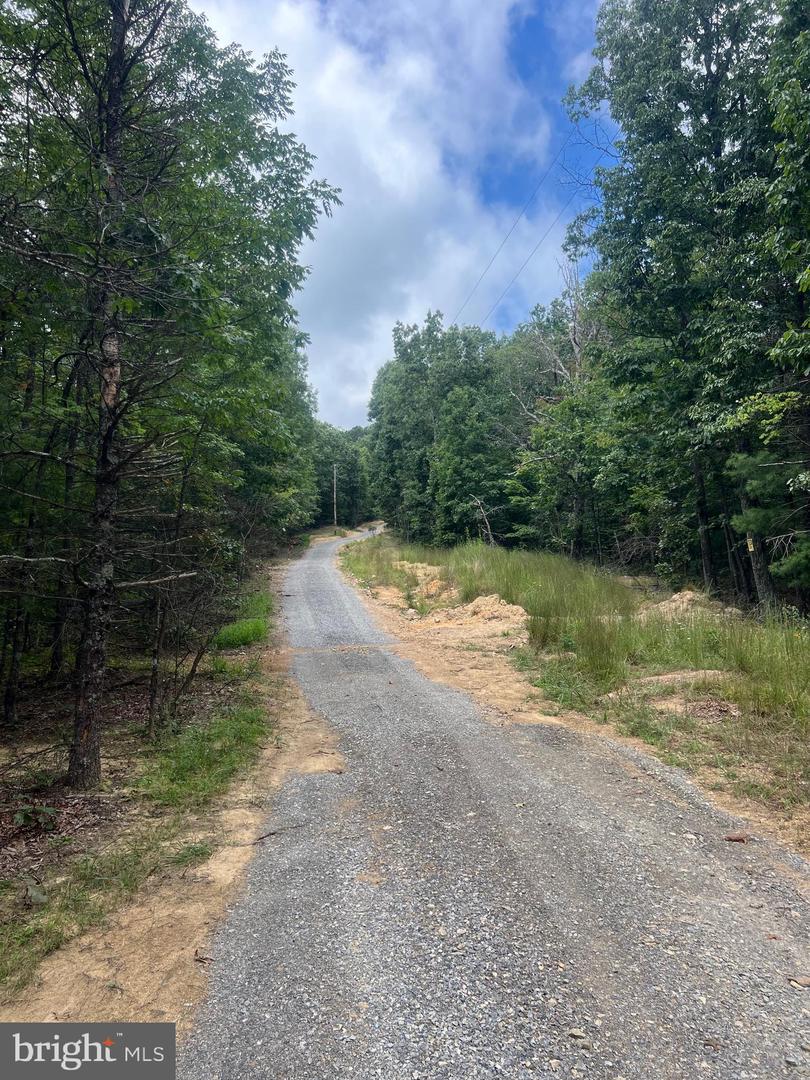 SUPINLICK RIDGE RD, MOUNT JACKSON, Virginia 22842, ,Land,For sale,SUPINLICK RIDGE RD,VASH2012594 MLS # VASH2012594