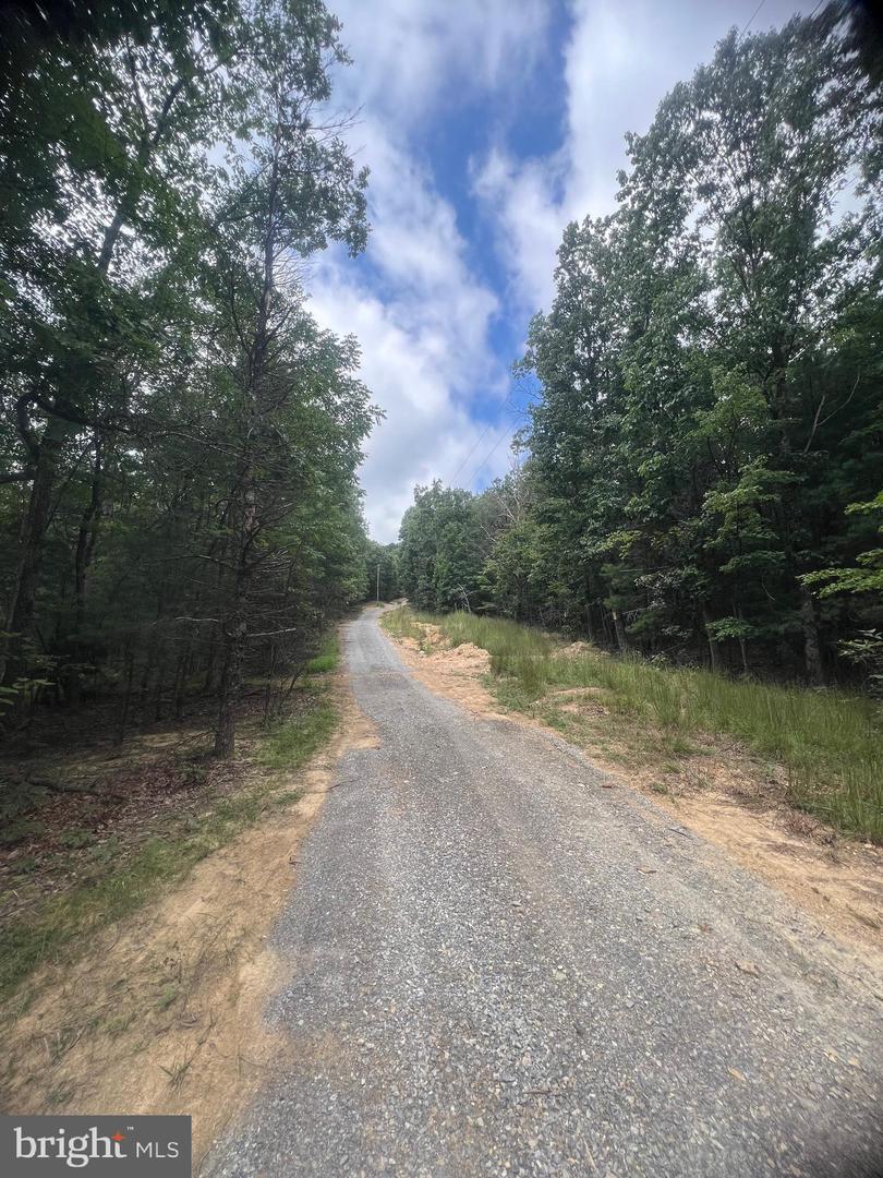 SUPINLICK RIDGE RD, MOUNT JACKSON, Virginia 22842, ,Land,For sale,SUPINLICK RIDGE RD,VASH2012594 MLS # VASH2012594