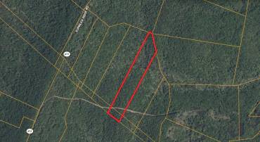 SUPINLICK RIDGE RD, MOUNT JACKSON, Virginia 22842, ,Land,For sale,SUPINLICK RIDGE RD,VASH2012594 MLS # VASH2012594
