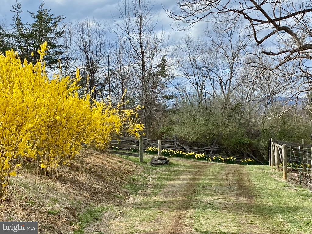 180 FIVE FORKS RD, WOODVILLE, Virginia 22749, ,Land,For sale,180 FIVE FORKS RD,VARP2002302 MLS # VARP2002302