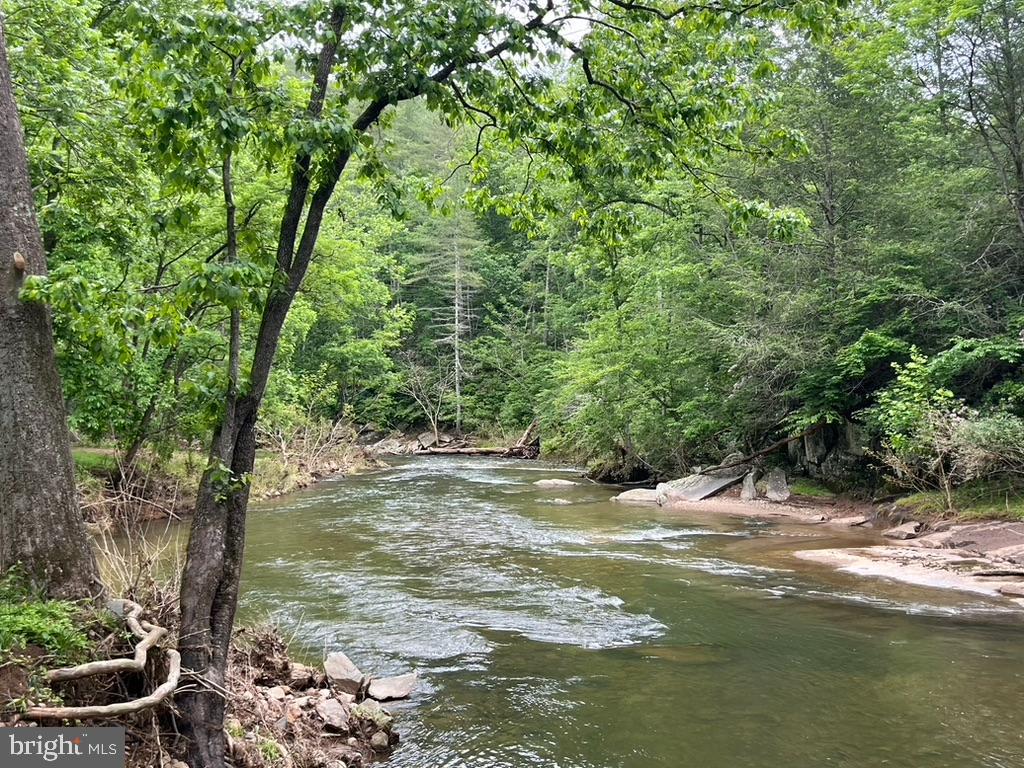 180 FIVE FORKS RD, WOODVILLE, Virginia 22749, ,Land,For sale,180 FIVE FORKS RD,VARP2002302 MLS # VARP2002302