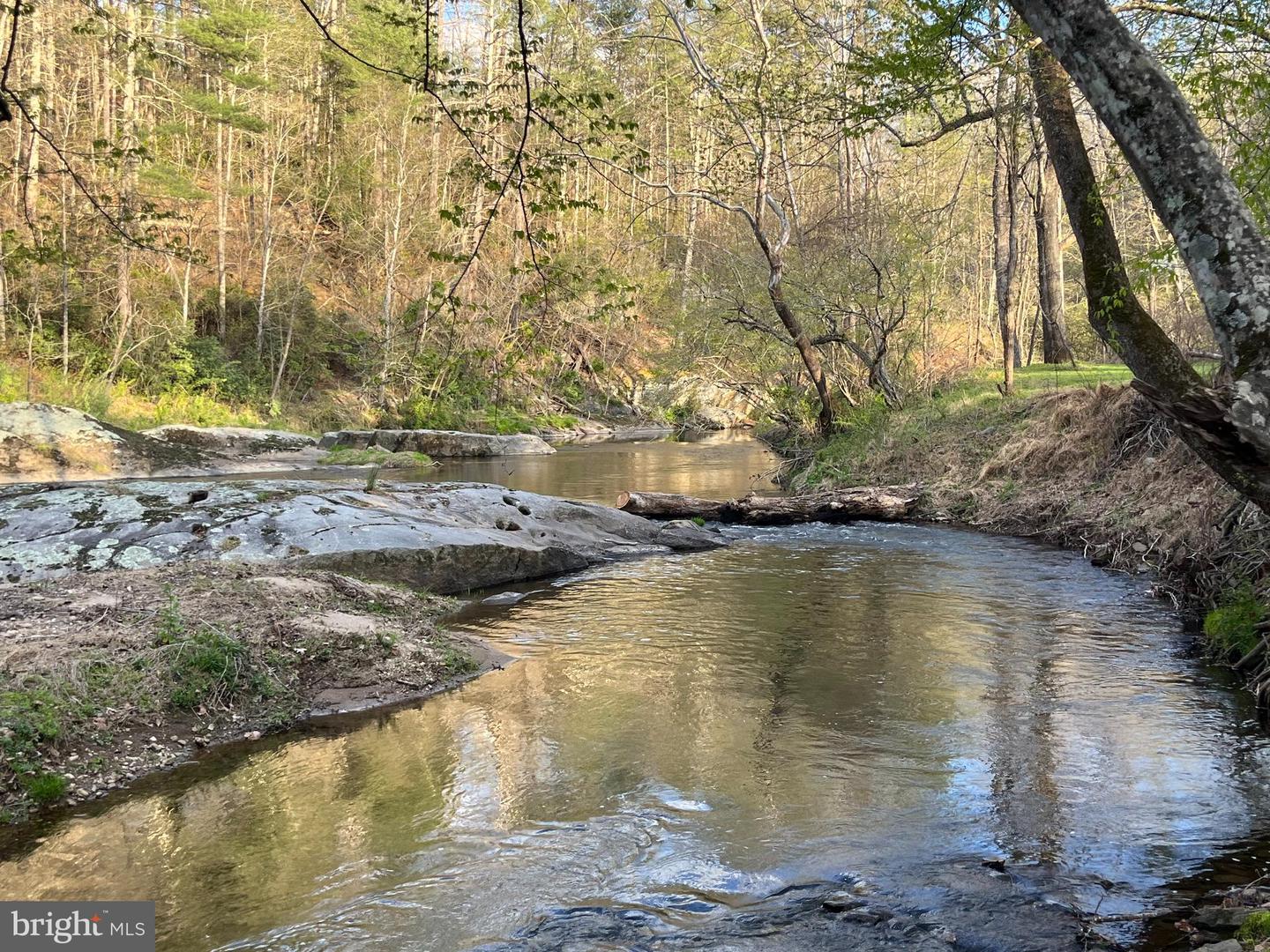 180 FIVE FORKS RD, WOODVILLE, Virginia 22749, ,Land,For sale,180 FIVE FORKS RD,VARP2002302 MLS # VARP2002302