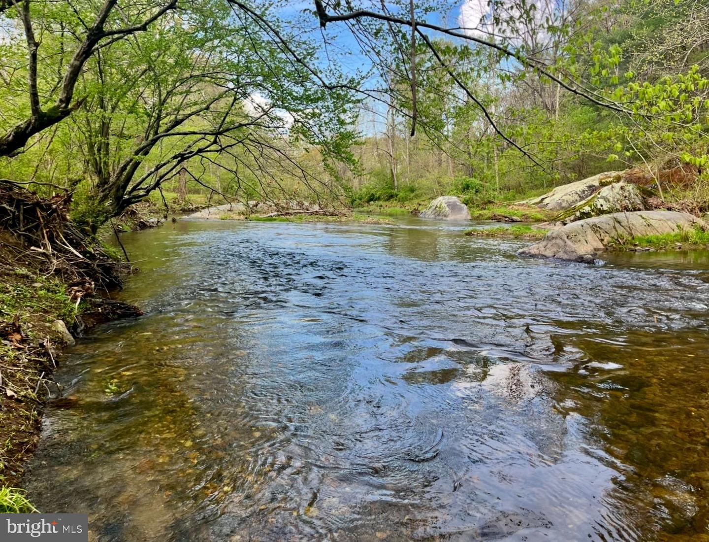 180 FIVE FORKS RD, WOODVILLE, Virginia 22749, ,Land,For sale,180 FIVE FORKS RD,VARP2002302 MLS # VARP2002302