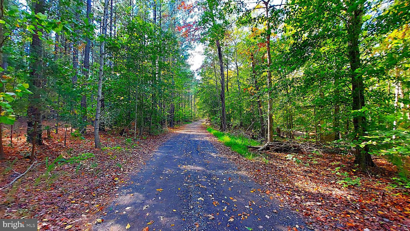 7C WOODVILLE RD, LOCUST GROVE, Virginia 22508, ,Land,For sale,7C WOODVILLE RD,VAOR2012514 MLS # VAOR2012514