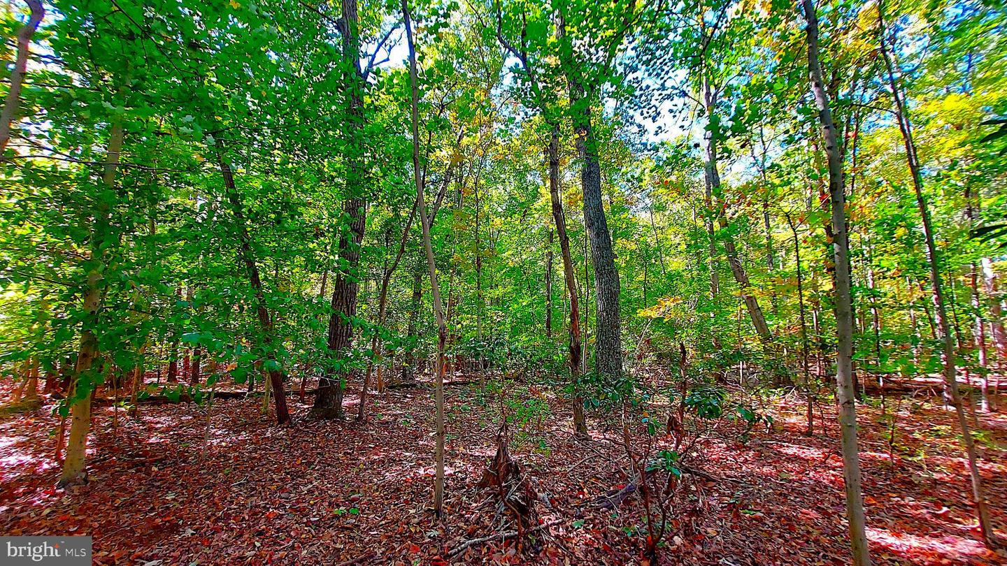 7C WOODVILLE RD, LOCUST GROVE, Virginia 22508, ,Land,For sale,7C WOODVILLE RD,VAOR2012514 MLS # VAOR2012514