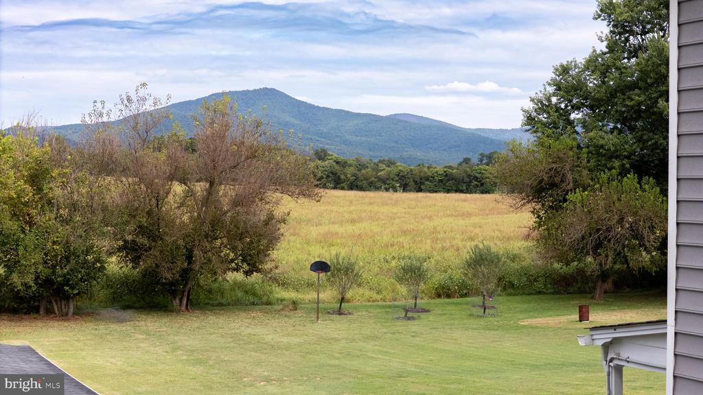 161 RESERVOIR AVE, LURAY, Virginia 22835, 5 Bedrooms Bedrooms, ,2 BathroomsBathrooms,Residential,161 RESERVOIR AVE,VAPA2005364 MLS # VAPA2005364