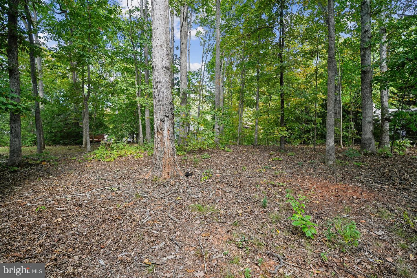 210 SKYLINE RD, LOCUST GROVE, Virginia 22508, 3 Bedrooms Bedrooms, 7 Rooms Rooms,2 BathroomsBathrooms,Residential,For sale,210 SKYLINE RD,VAOR2010602 MLS # VAOR2010602