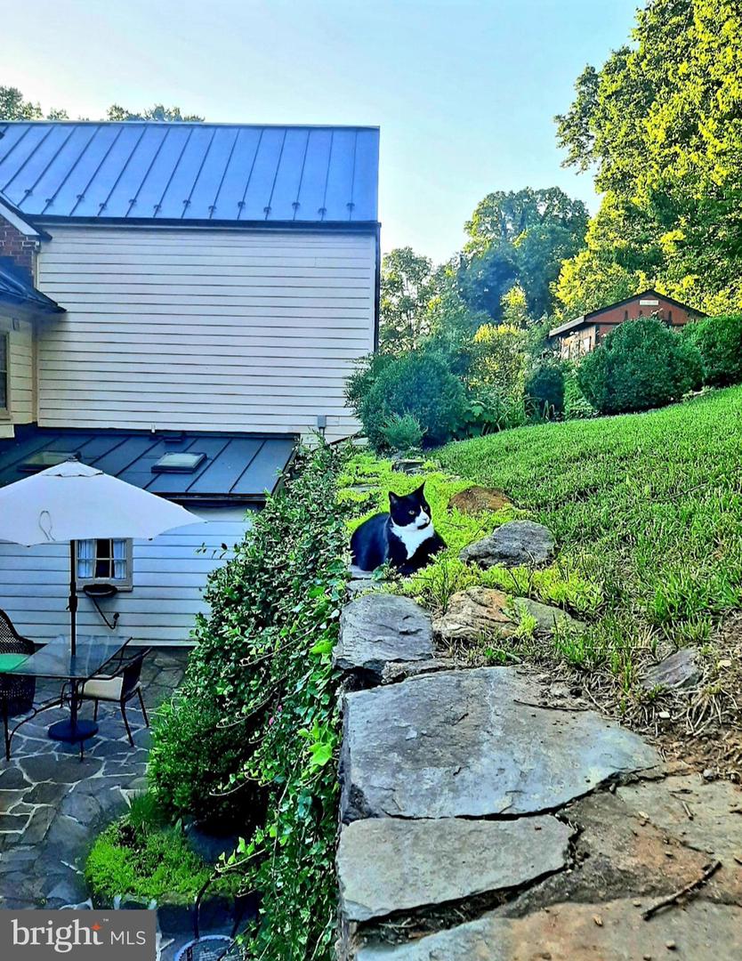 40162 MAIN ST, WATERFORD, Virginia 20197, 4 Bedrooms Bedrooms, ,3 BathroomsBathrooms,Residential,For sale,40162 MAIN ST,VALO2107012 MLS # VALO2107012