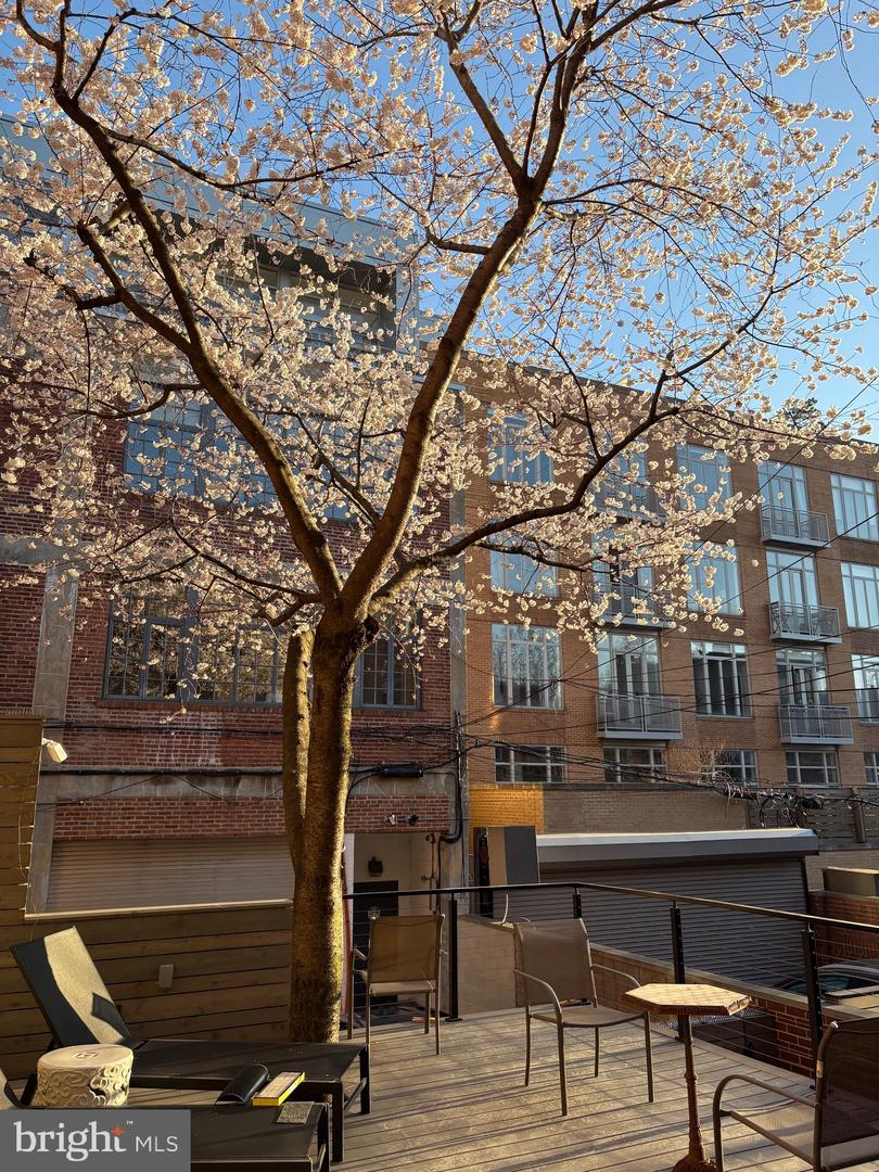 1420 Q ST NW, WASHINGTON, District Of Columbia 20009, 6 Bedrooms Bedrooms, ,3 BathroomsBathrooms,Residential,For sale,1420 Q ST NW,DCDC2225054 MLS # DCDC2225054