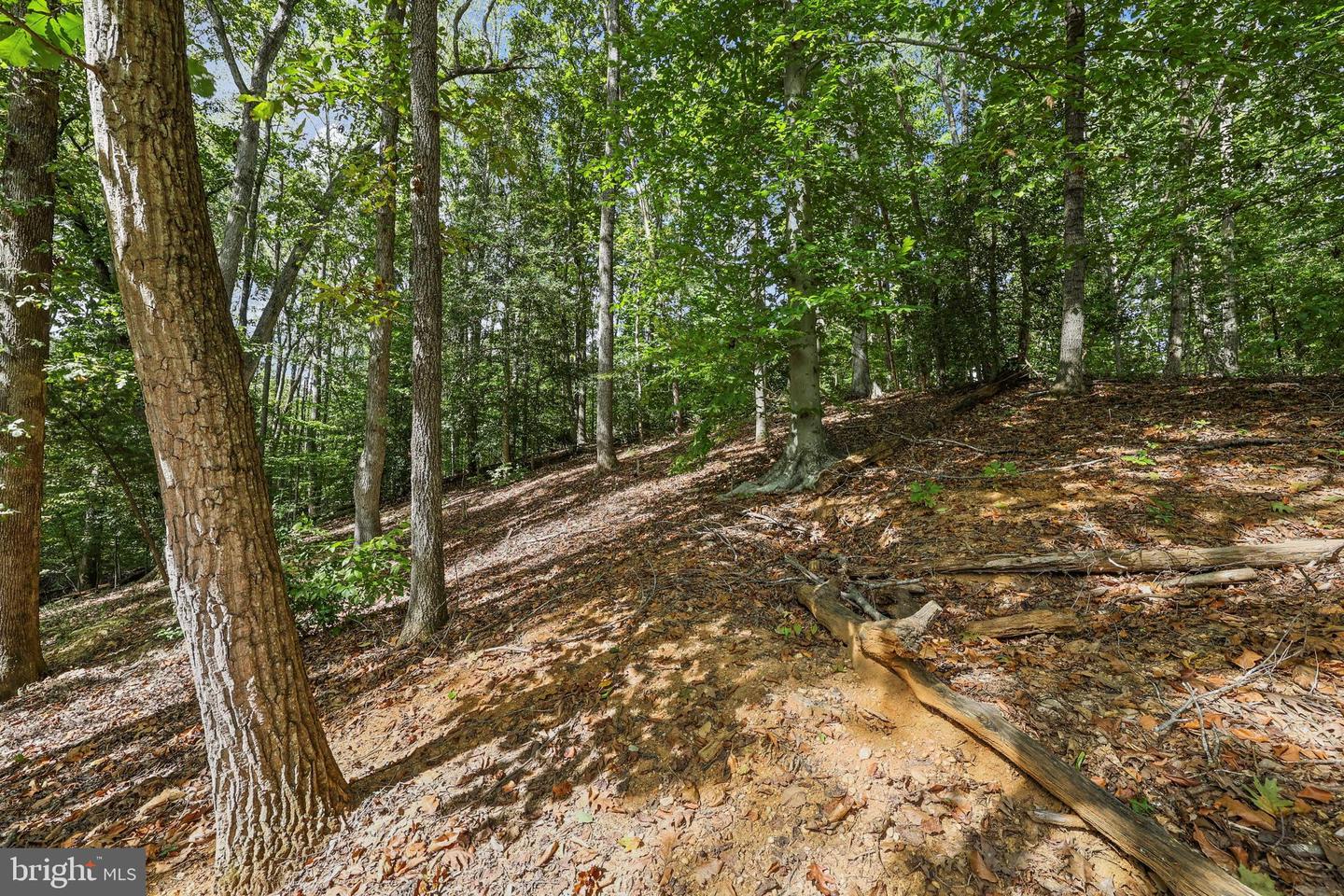 2016 COAST GUARD DR, STAFFORD, Virginia 22554, 4 Bedrooms Bedrooms, 7 Rooms Rooms,3 BathroomsBathrooms,Residential,For sale,2016 COAST GUARD DR,VAST2043210 MLS # VAST2043210 2016 COAST GUARD DR, STAFFORD, Virginia 22554, 4 Bedrooms Bedrooms, 7 Rooms Rooms,3 BathroomsBathrooms,Residential,For sale,2016 COAST GUARD DR,VAST2043210 MLS # VAST2043210