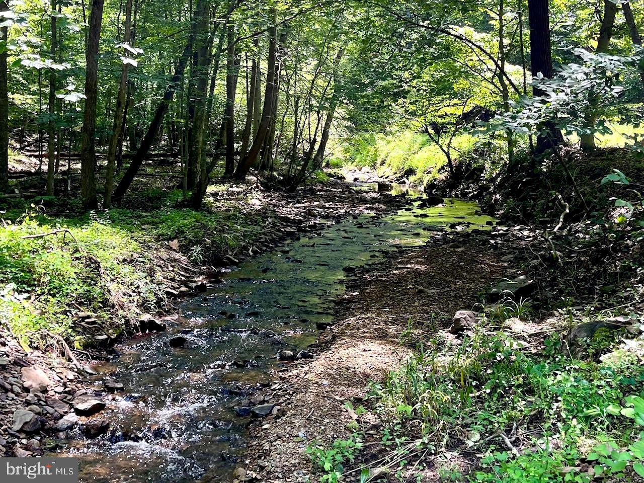 PIONEER LN, BOYCE, Virginia 22620, ,Land,For sale,PIONEER LN,VACL2005978 MLS # VACL2005978