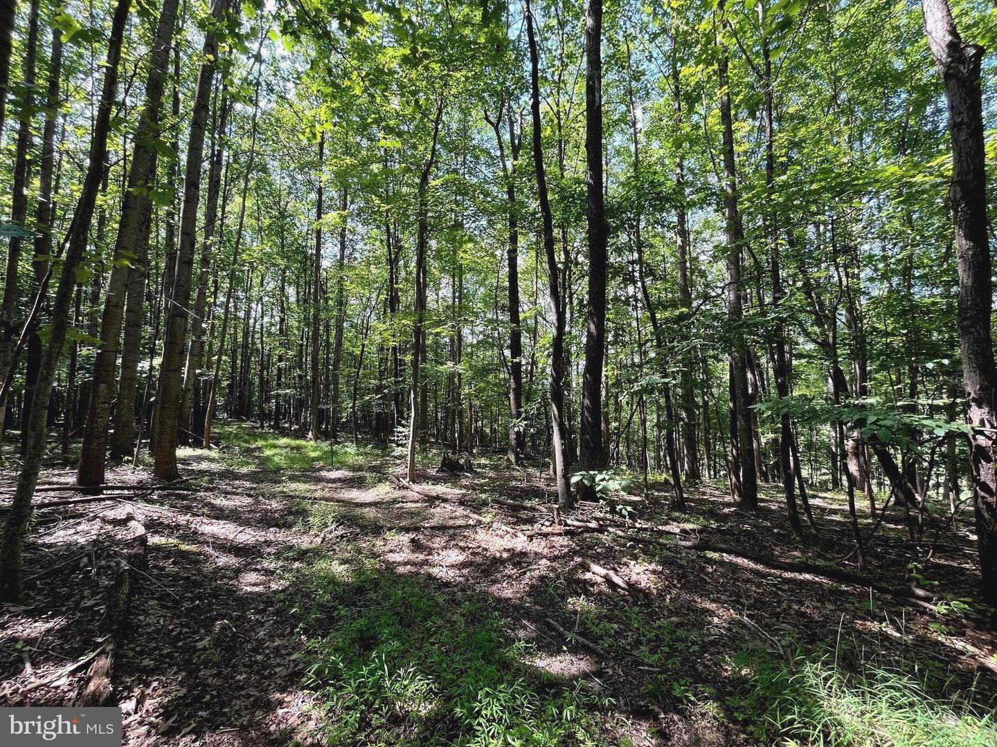 PIONEER LN, BOYCE, Virginia 22620, ,Land,For sale,PIONEER LN,VACL2005978 MLS # VACL2005978