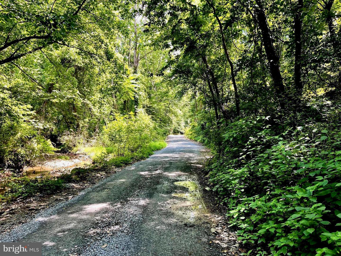PIONEER LN, BOYCE, Virginia 22620, ,Land,For sale,PIONEER LN,VACL2005978 MLS # VACL2005978