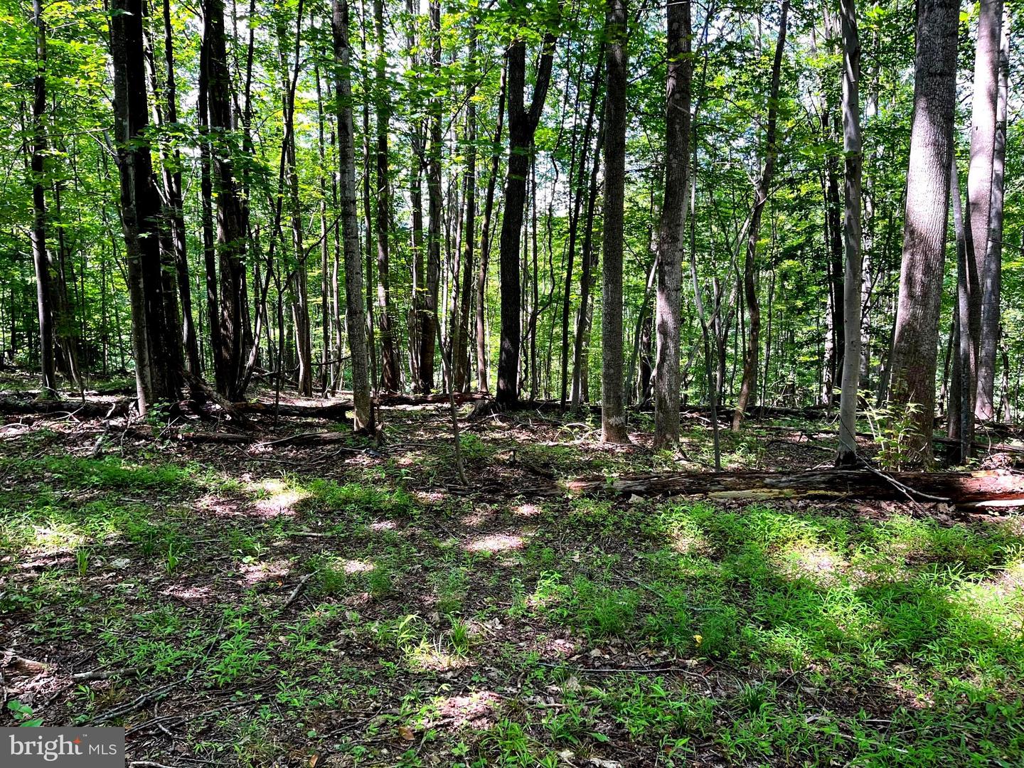 PIONEER LN, BOYCE, Virginia 22620, ,Land,For sale,PIONEER LN,VACL2005978 MLS # VACL2005978