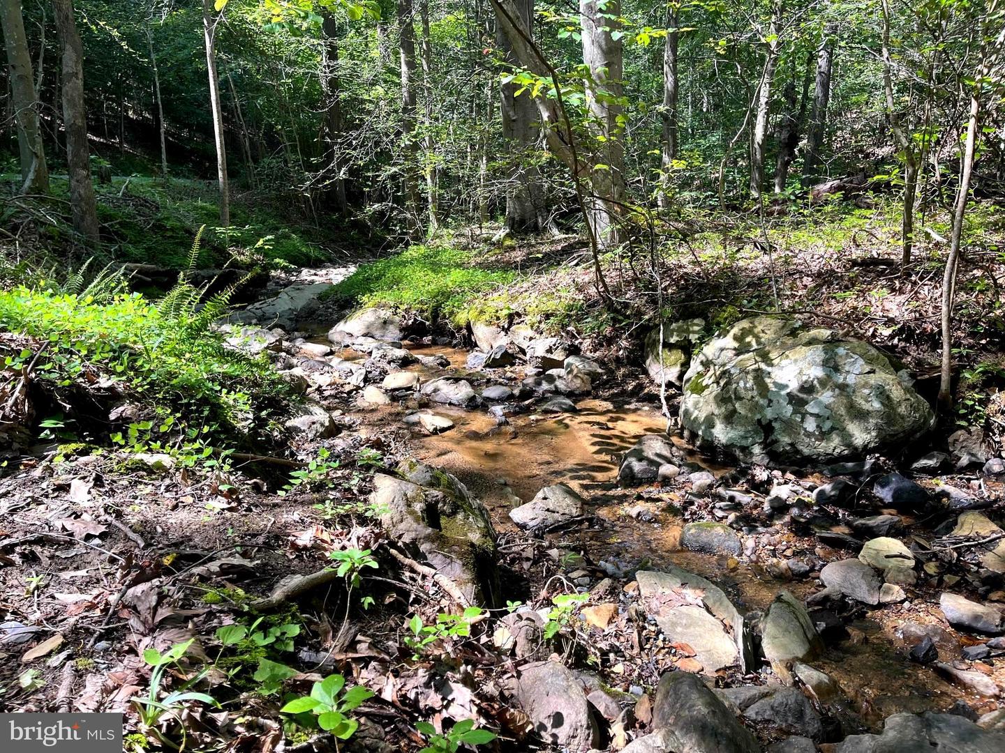 PIONEER LN, BOYCE, Virginia 22620, ,Land,For sale,PIONEER LN,VACL2005978 MLS # VACL2005978