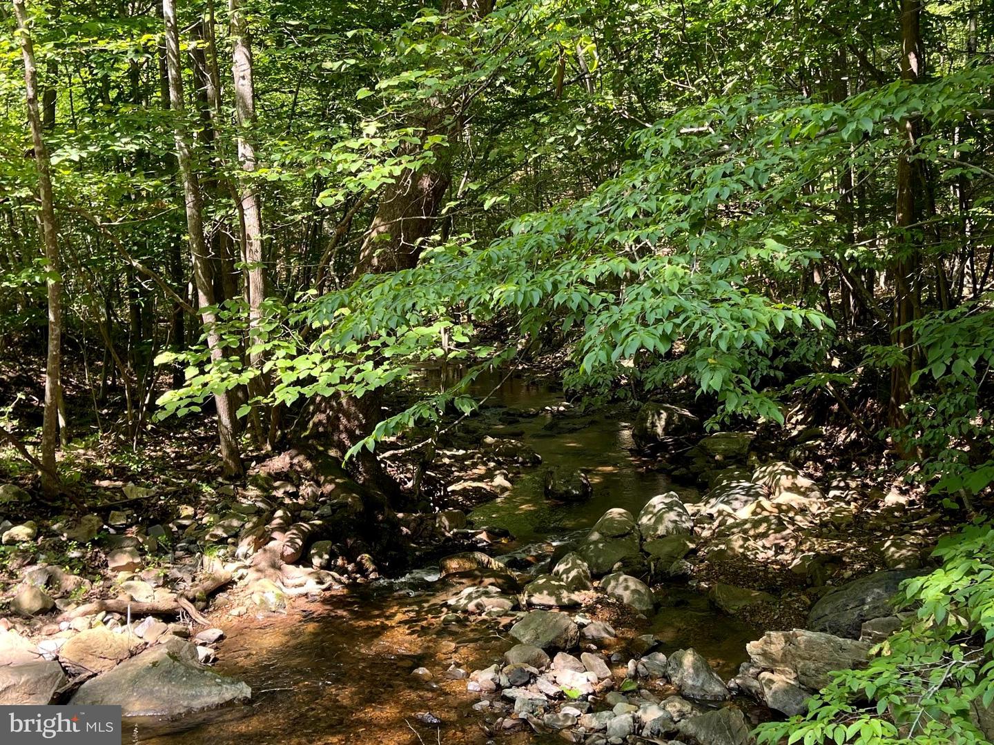 PIONEER LN, BOYCE, Virginia 22620, ,Land,For sale,PIONEER LN,VACL2005978 MLS # VACL2005978