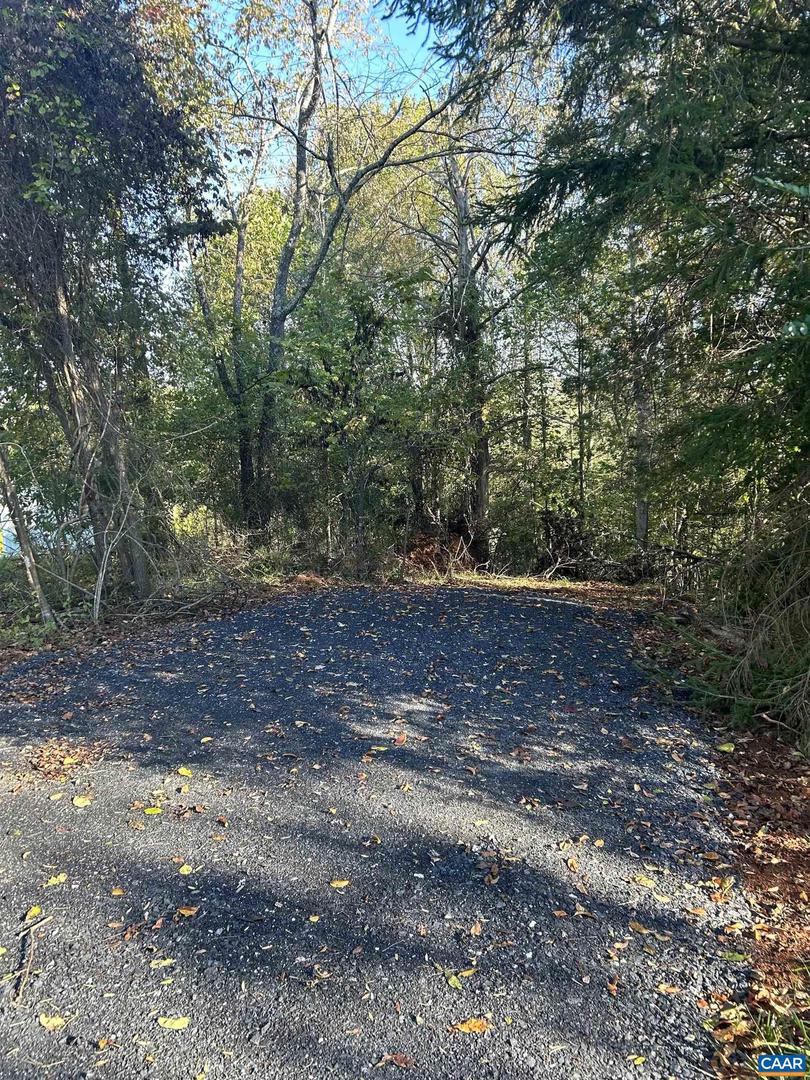 TBD BATESVILLE RD #2, AFTON, Virginia 22920, ,Land,For sale,TBD BATESVILLE RD #2,669919 MLS # 669919