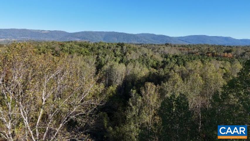 TBD BATESVILLE RD #2, AFTON, Virginia 22920, ,Land,For sale,TBD BATESVILLE RD #2,669919 MLS # 669919