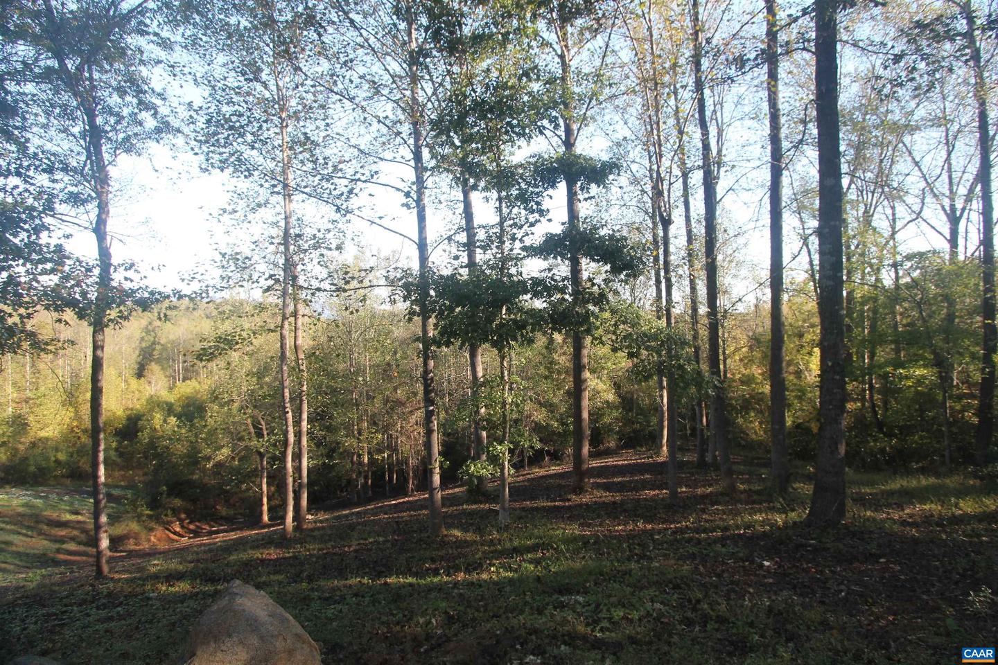 TBD BATESVILLE RD #2, AFTON, Virginia 22920, ,Land,For sale,TBD BATESVILLE RD #2,669919 MLS # 669919