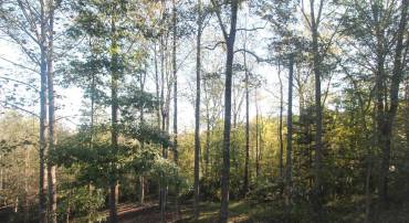 TBD BATESVILLE RD #2, AFTON, Virginia 22920, ,Land,For sale,TBD BATESVILLE RD #2,669919 MLS # 669919