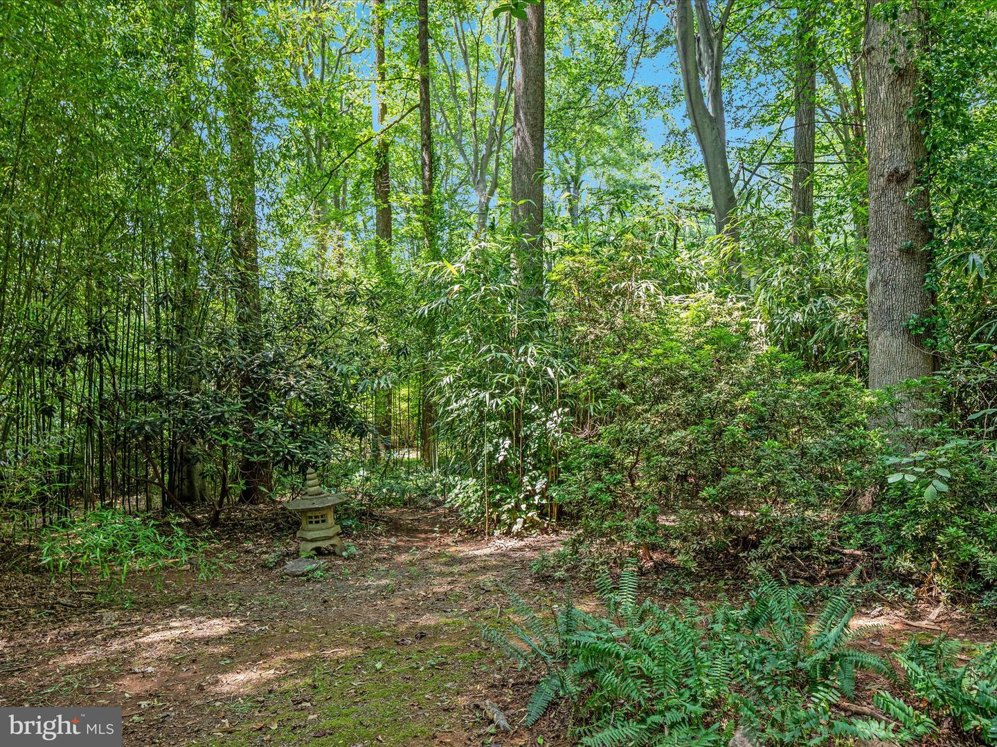 13209 JOHNNY MOORE LN, CLIFTON, Virginia 20124, 5 Bedrooms Bedrooms, ,4 BathroomsBathrooms,Residential,For sale,13209 JOHNNY MOORE LN,VAFX2273896 MLS # VAFX2273896