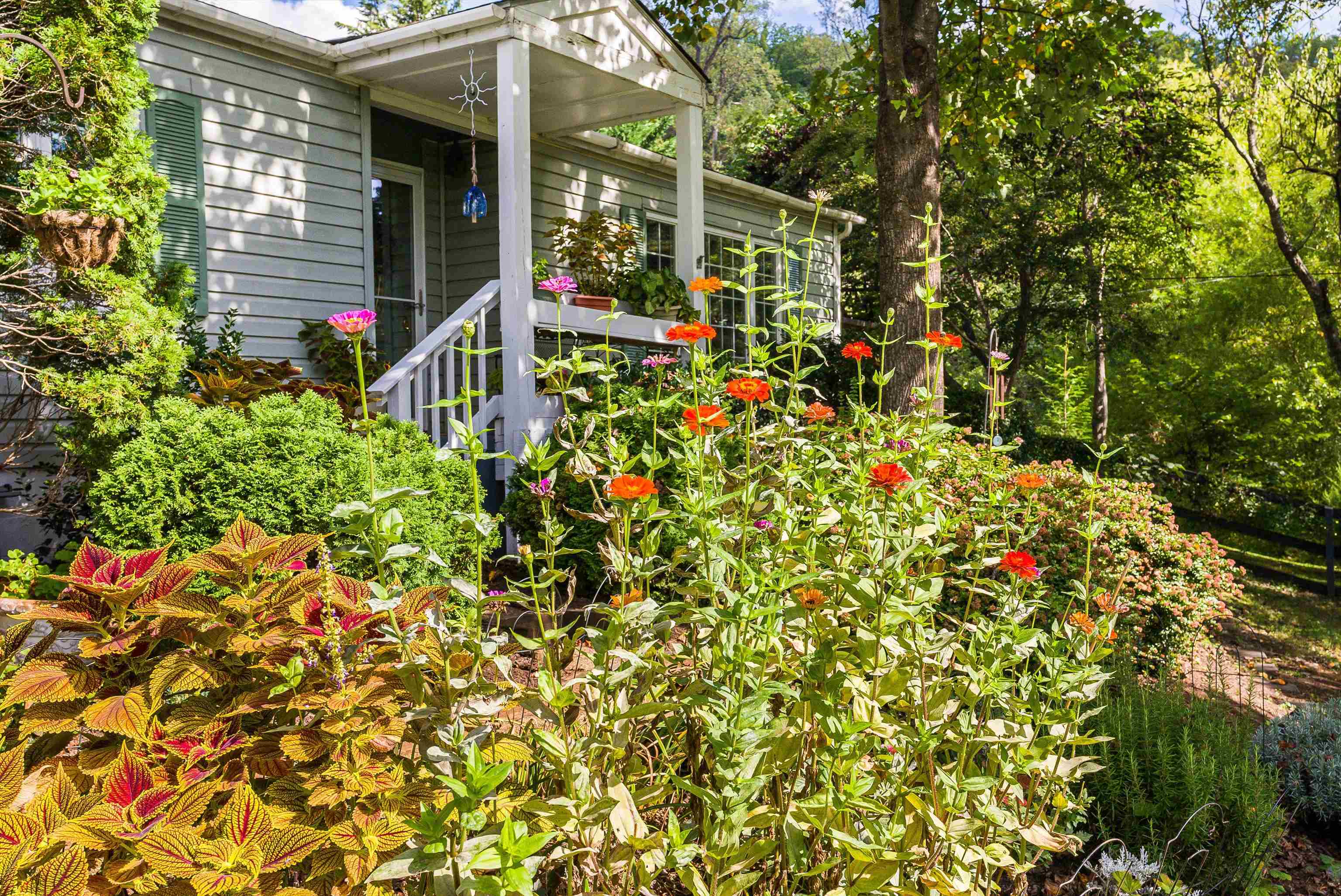 1373 BLAIR PARK RD, CROZET, Virginia 22932, 3 Bedrooms Bedrooms, ,2 BathroomsBathrooms,Residential,1373 BLAIR PARK RD,669898 MLS # 669898