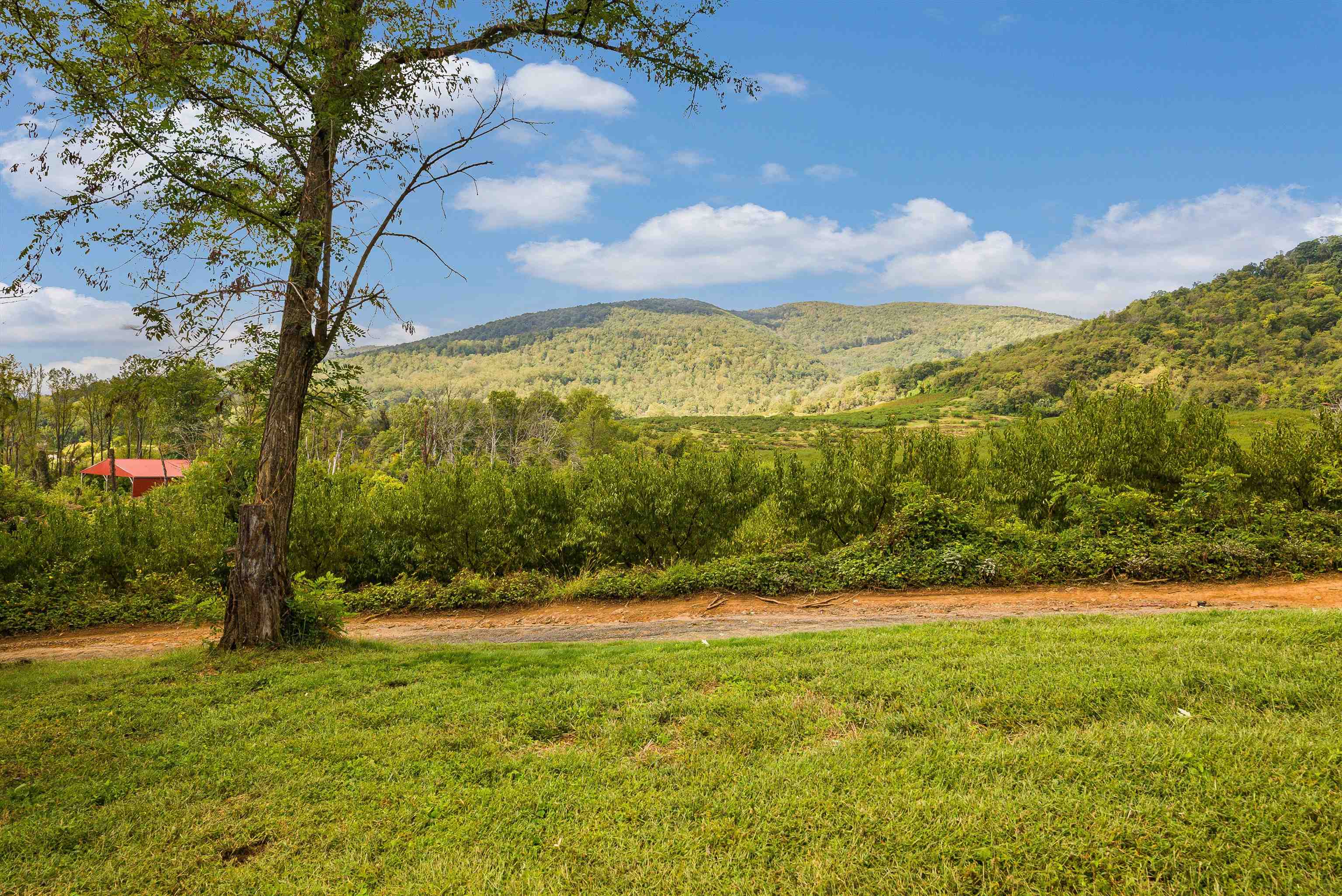 1373 BLAIR PARK RD, CROZET, Virginia 22932, 3 Bedrooms Bedrooms, ,2 BathroomsBathrooms,Residential,1373 BLAIR PARK RD,669898 MLS # 669898