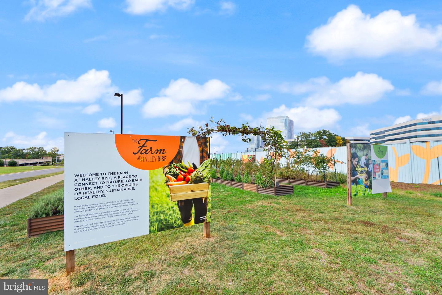 2042 ROYAL FERN CT #1B, RESTON, Virginia 20191, 2 Bedrooms Bedrooms, ,1 BathroomBathrooms,Residential,For sale,2042 ROYAL FERN CT #1B,VAFX2273432 MLS # VAFX2273432 2042 ROYAL FERN CT #1B, RESTON, Virginia 20191, 2 Bedrooms Bedrooms, ,1 BathroomBathrooms,Residential,For sale,2042 ROYAL FERN CT #1B,VAFX2273432 MLS # VAFX2273432