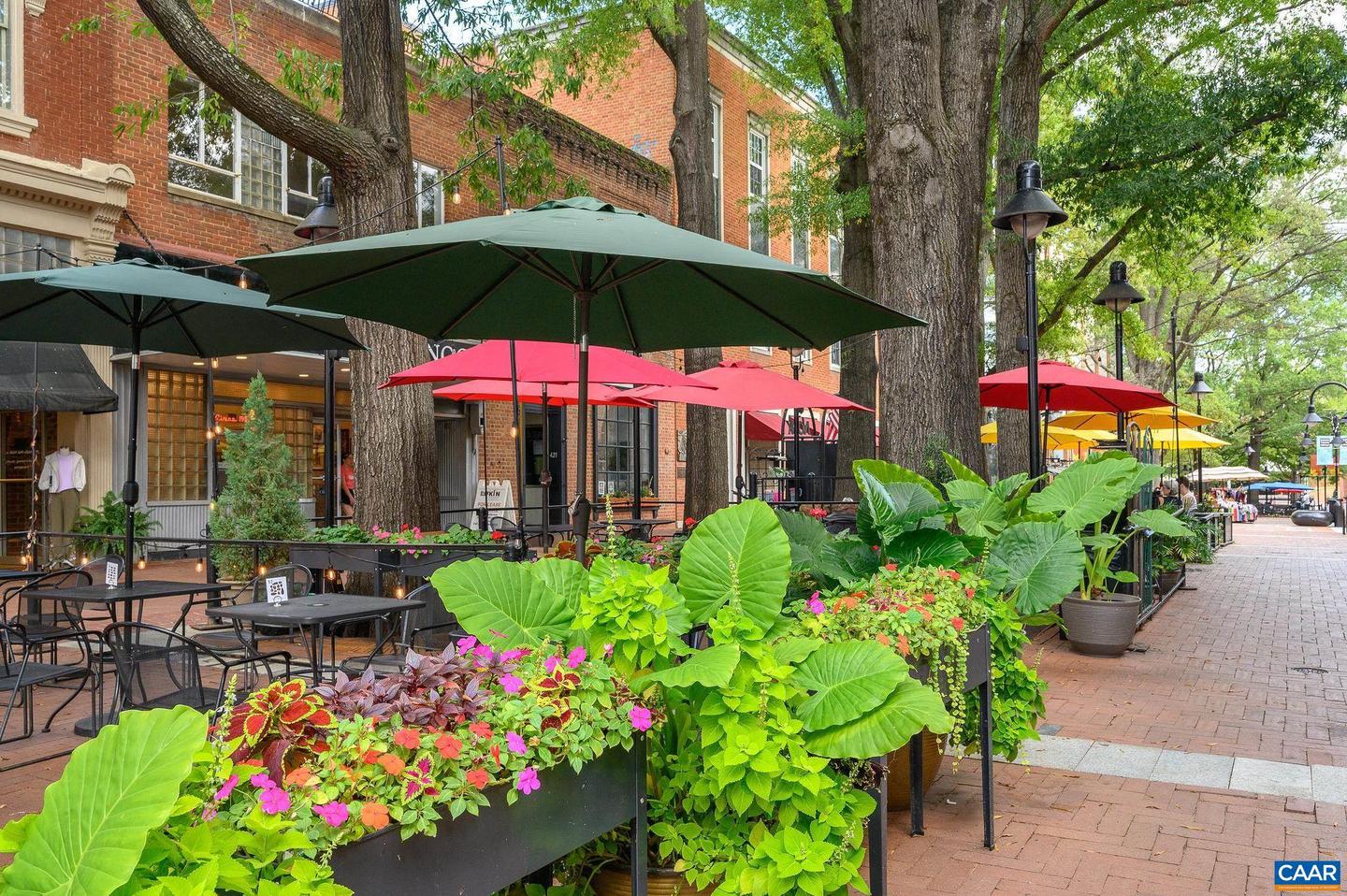 408 E MARKET ST #305, CHARLOTTESVILLE, Virginia 22902, 2 Bedrooms Bedrooms, ,2 BathroomsBathrooms,Residential,For sale,408 E MARKET ST #305,669886 MLS # 669886