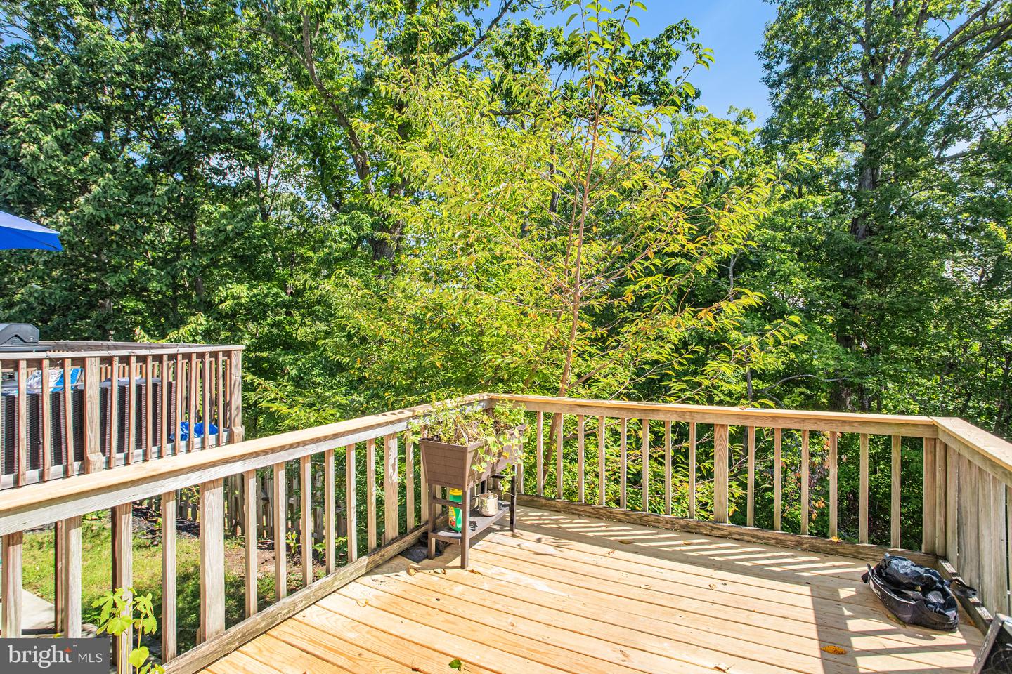 15355 GATEHOUSE TER, WOODBRIDGE, Virginia 22191, 2 Bedrooms Bedrooms, ,3 BathroomsBathrooms,Residential,For sale,15355 GATEHOUSE TER,VAPW2105868 MLS # VAPW2105868