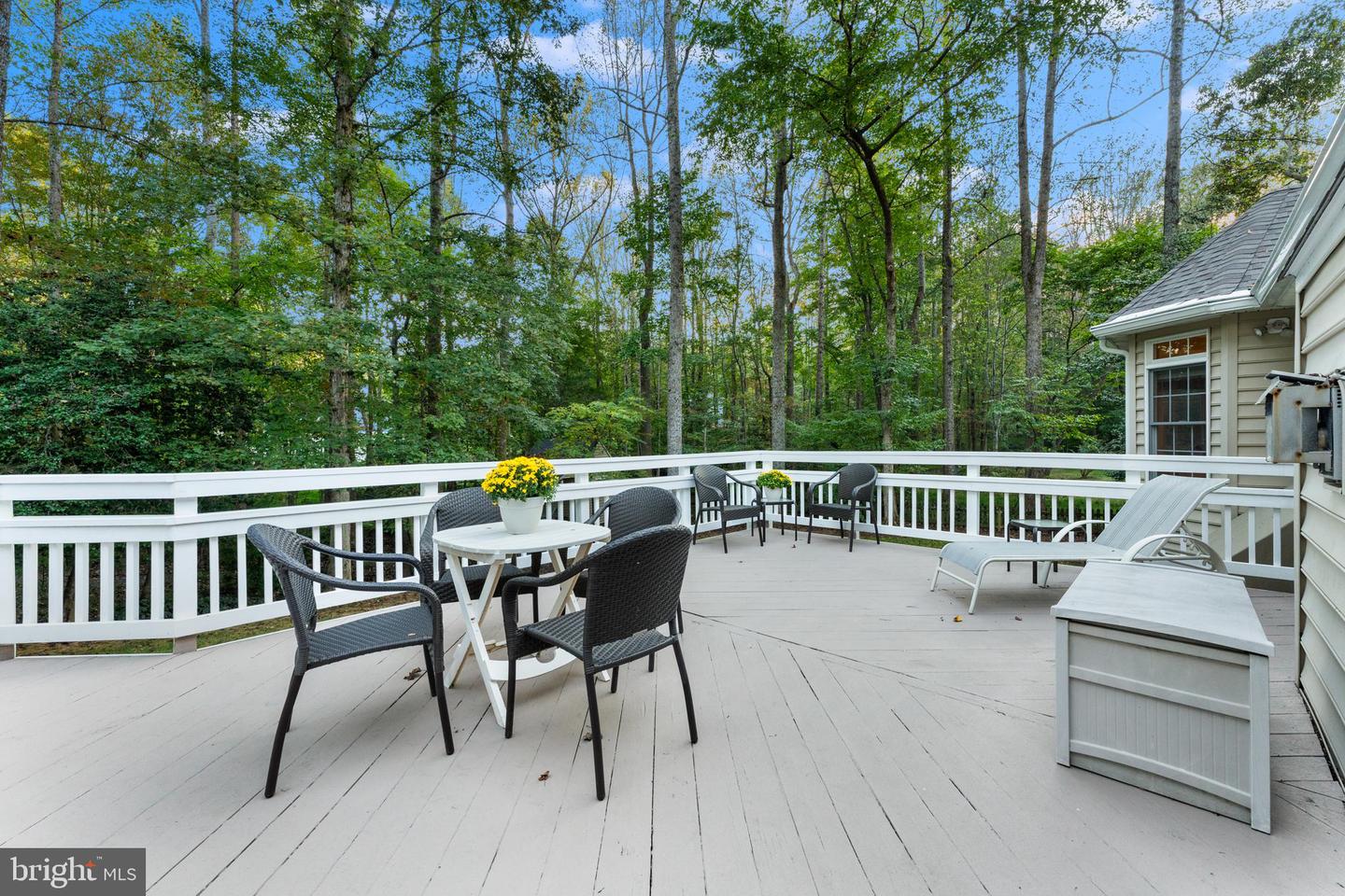 17246 PEPPERSTOCK LN, JEFFERSONTON, Virginia 22724, 4 Bedrooms Bedrooms, ,3 BathroomsBathrooms,Residential,For sale,17246 PEPPERSTOCK LN,VACU2010278 MLS # VACU2010278