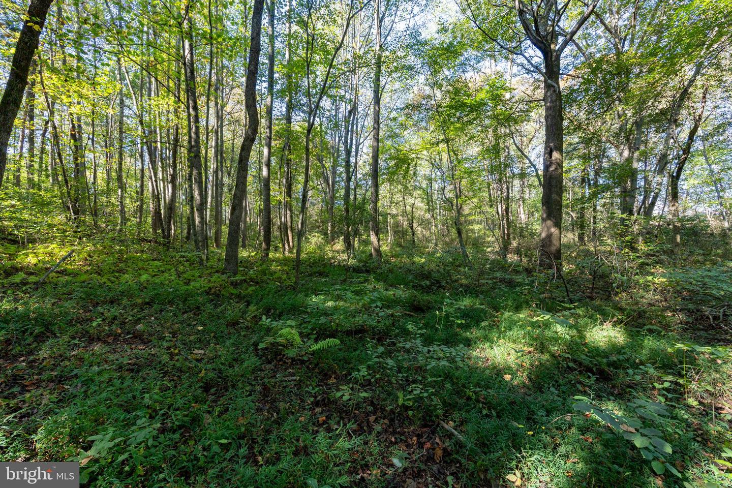 ORANGE RD, PRATTS, Virginia 22731, ,Land,For sale,ORANGE RD,VAMA2002476 MLS # VAMA2002476